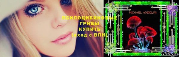 гидропоника Алексеевка
