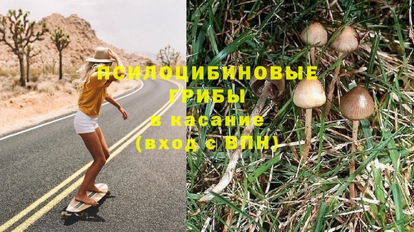 каннабис Алзамай