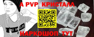 jwh Нальчик