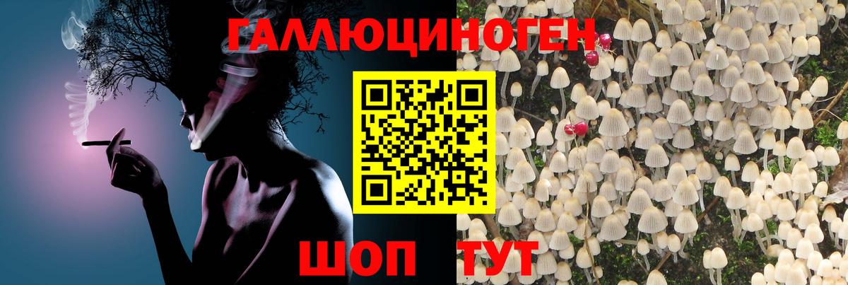 Глазов  наркошоп  Вход с VPN  Галлюциногенные грибы MAGIC MUSHROOMS  Псилоцибиновые грибы мухоморы 
